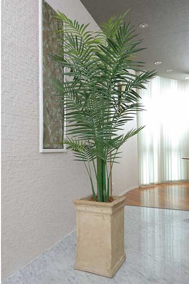 Art Plants (Used)