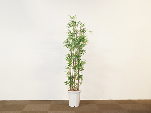 Art Plants (Used)