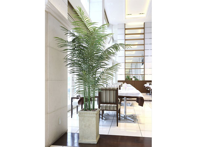 Art Plants (Used)