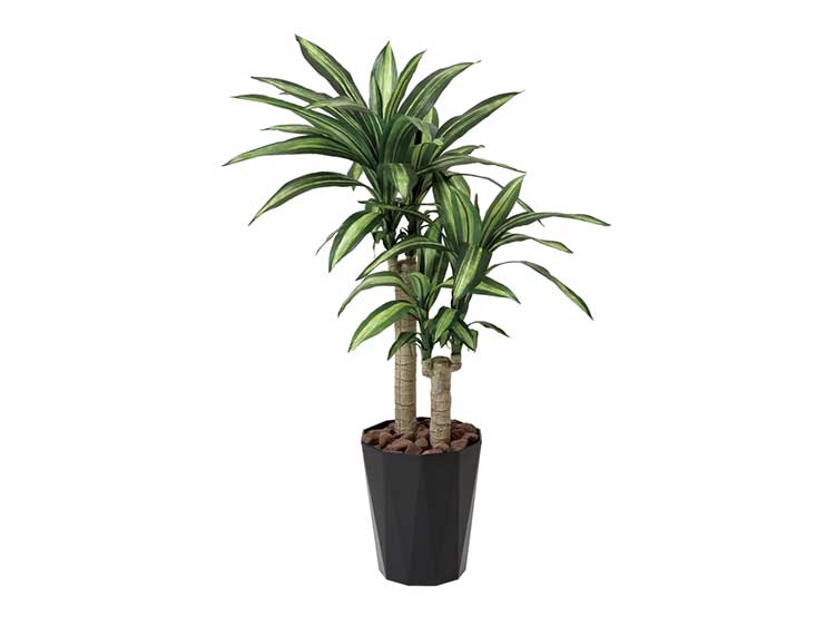 Art Plants (Used)