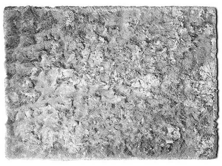 Rug (Used)