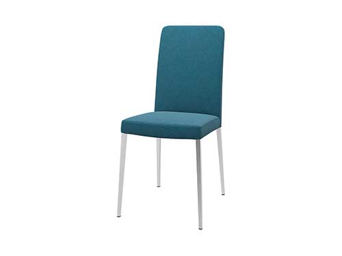 2 Side Chairs Set (Used)