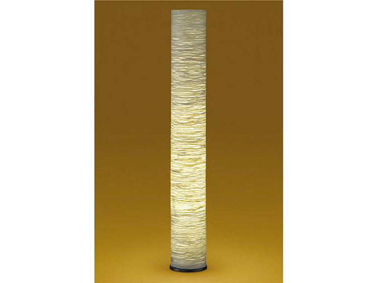 Floor Lamp (Used)