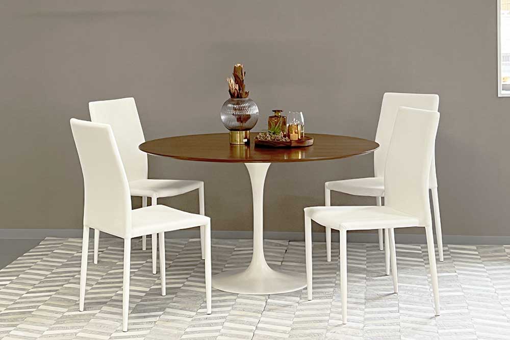 Dining Table with 4 chairs Set (Used)