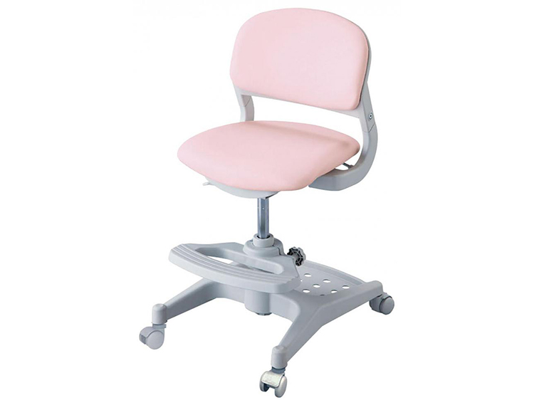 Desk Chair (Used)