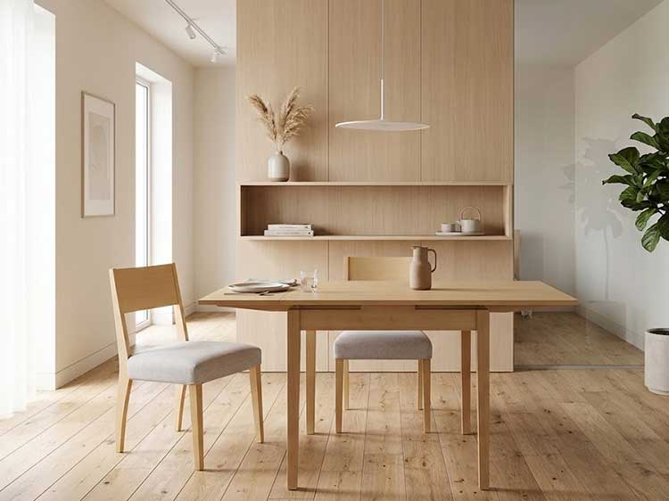 Dining Table with 2 chairs Set (Used)