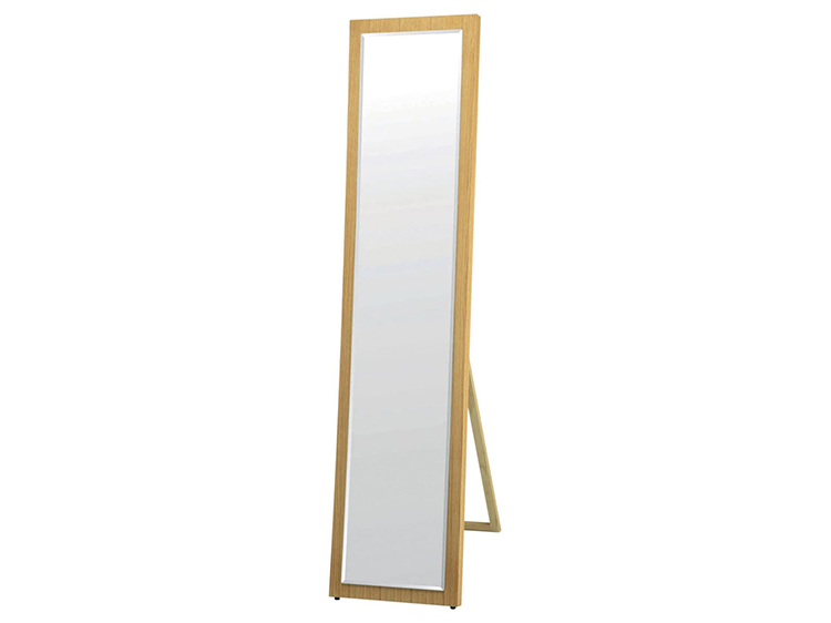 Stand Mirror (Used)
