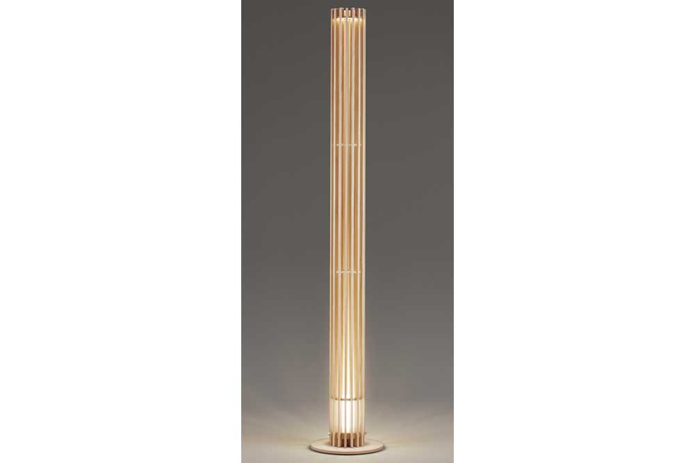Floor Lamp (Used)