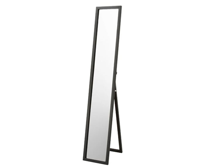 Stand Mirror (Used) 　
