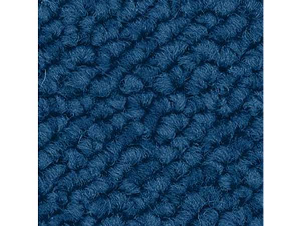 Rug (Used)