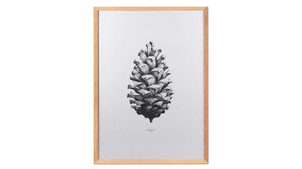 Frame Art (Used)