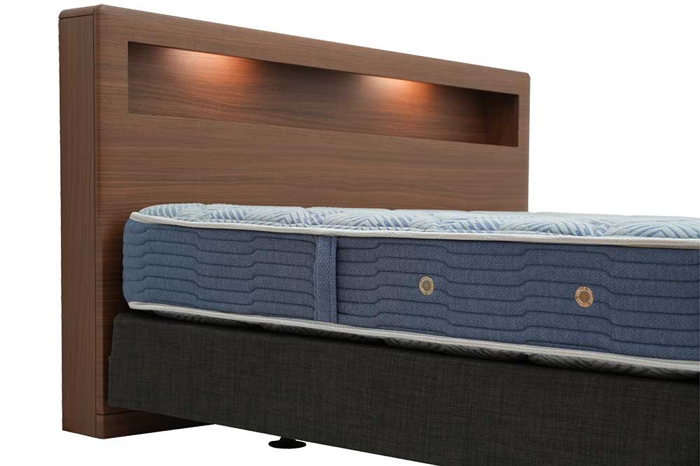 Queen-Size Head Board (Used)