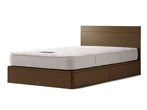 Queen-Size Bed  with Mattress (Used)