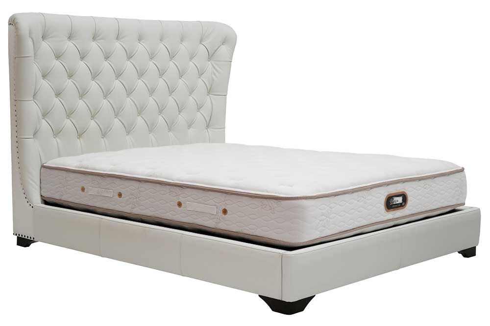 Queen-Size Bed Frame (Used)