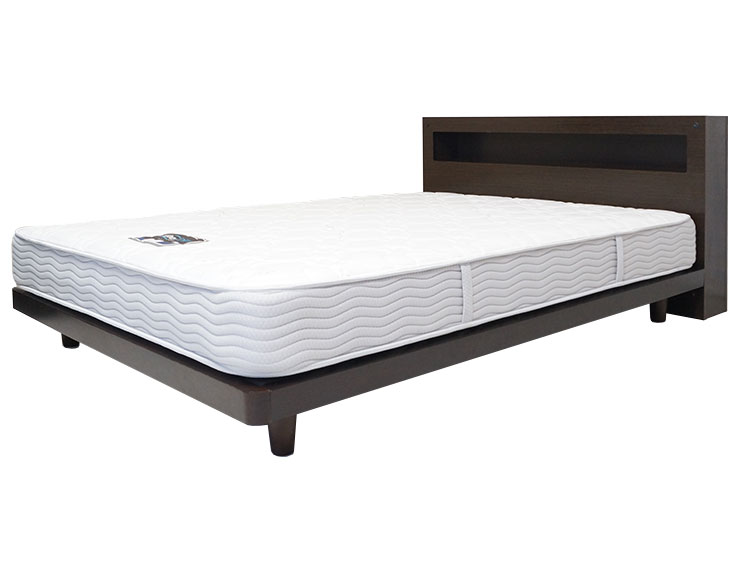 Queen-Size Bed Frame (Used)