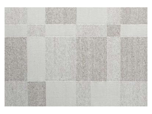 Rug (Used)