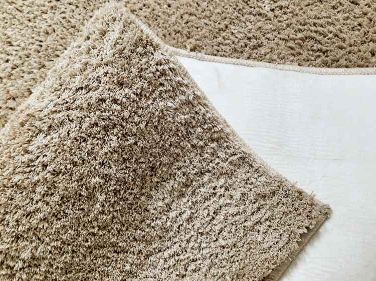 Rug (Used)