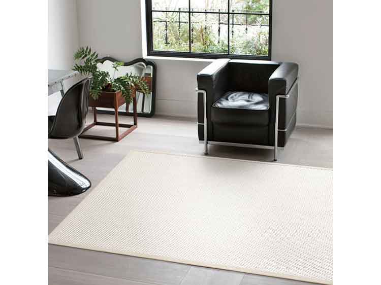 Rug (Used)　