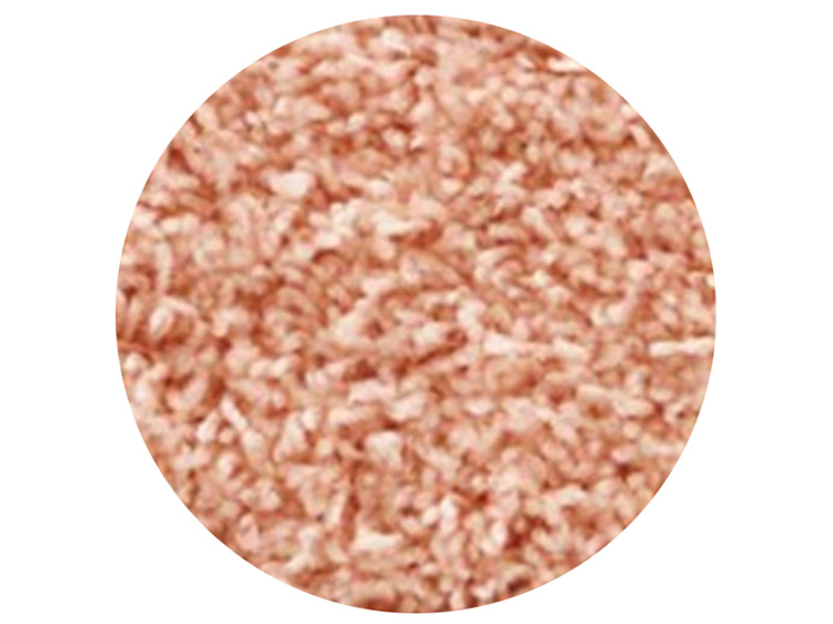 Rug (Used)
