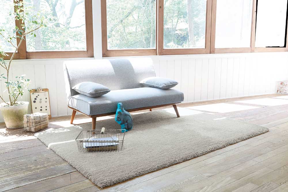 Rug (Used)