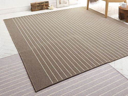 Rug (Used)