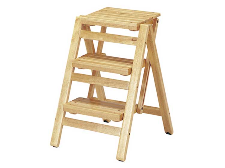 Step Ladder (Used)