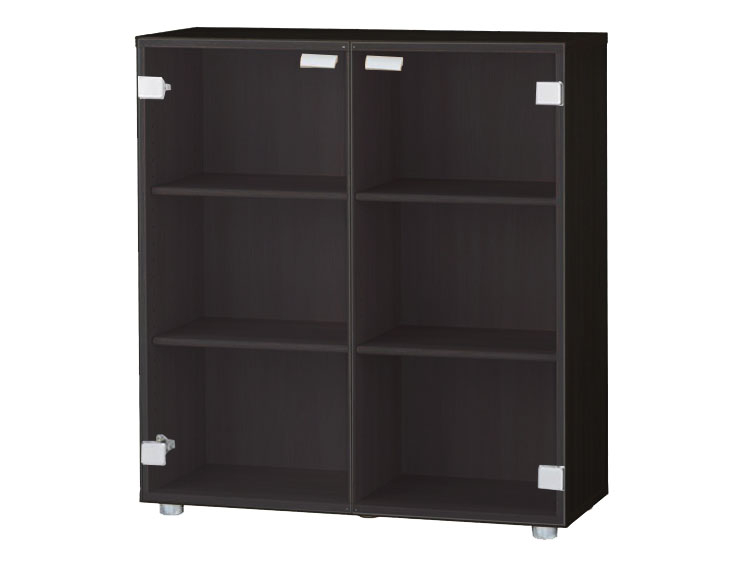 Book Shelf with a door (Used)