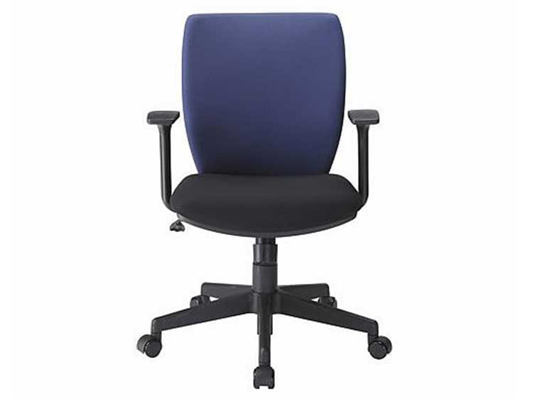 Desk Chair (Used)